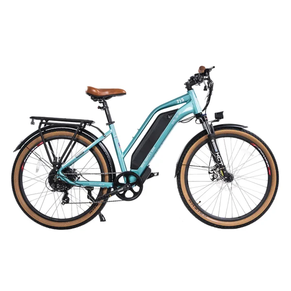 DWMEIGI Hestia 750W 48V/13Ah Step Through Electric Commuter Bike