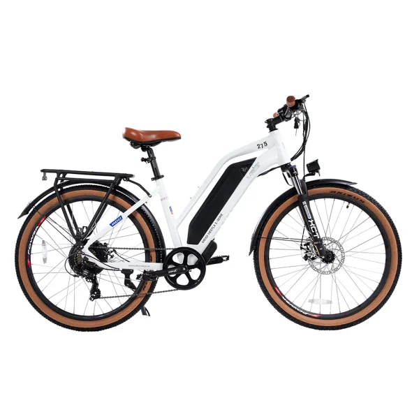 DWMEIGI Hestia 750W 48V/13Ah Step Through Electric Commuter Bike - Image 2