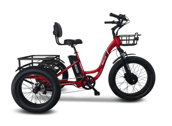 Emojo Caddy 500W 48V Fat Tire Electric Tricycle