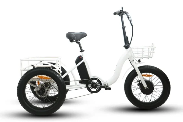 EUNORAU NEW-TRIKE Fat Tire Folding Electric Tricycle