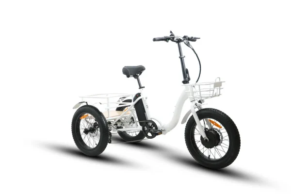 EUNORAU NEW-TRIKE Fat Tire Folding Electric Tricycle - Image 2