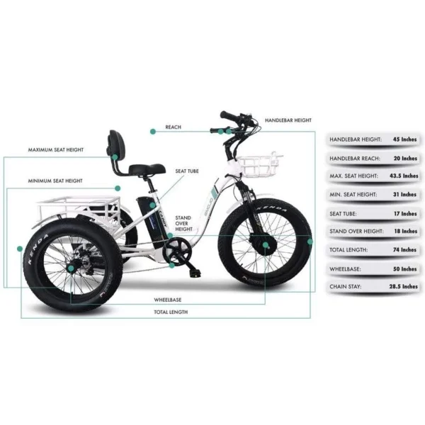 Emojo Caddy Pro 500W 48V Fat Tire Electric Tricycle - Image 4