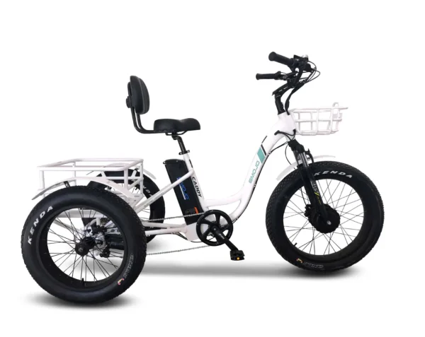 Emojo Caddy 500W 48V Fat Tire Electric Tricycle - Image 2