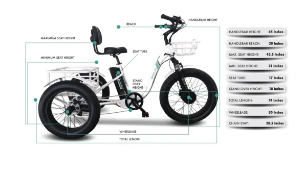 Emojo Caddy 500W 48V Fat Tire Electric Tricycle - Image 4