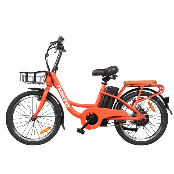 Nakto Pony City Cargo 20″ Electric Bike 250W 36V - Image 3