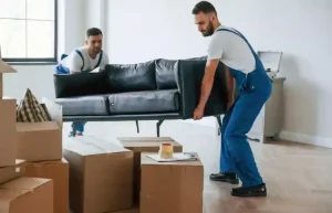 removals